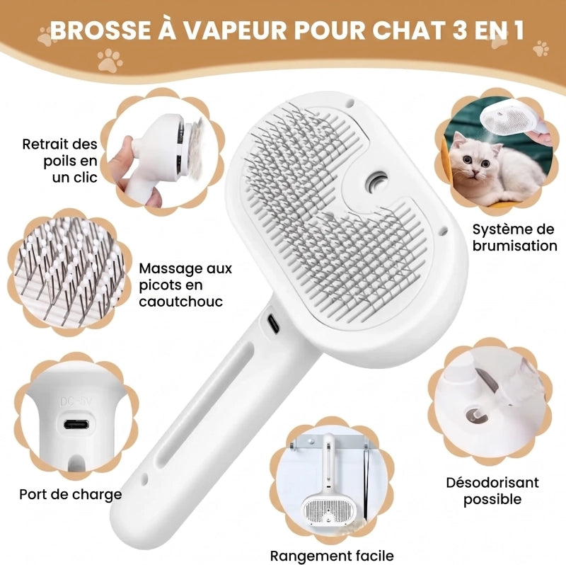 https://cdn.dropmagic.ai/medias/92a5cbc0-ebc7-40e3-b301-4146518c4e54.webp